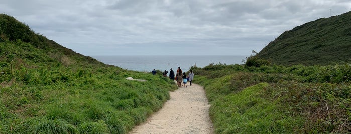 Porthcurno Beach is one of L.