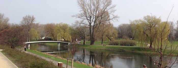 Park Kępa Potocka is one of foto.