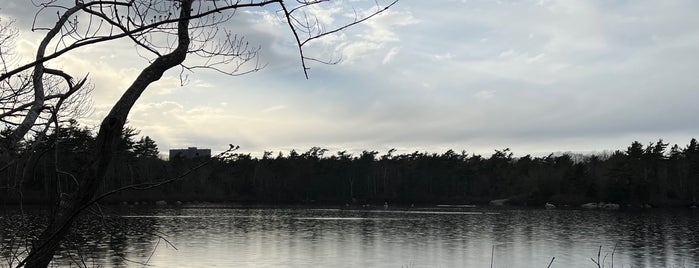 Sir Sanford Fleming Park is one of Great Outdoors in Halifax.