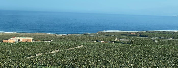 Plantaciones De Banano is one of Lugares favoritos de Stacy.