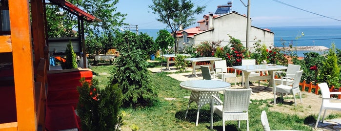 Akasya Cafe & Restaurant is one of Altınordu.