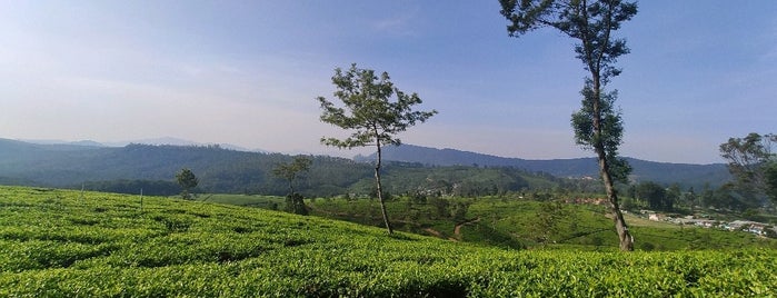 Moon Plains Nuwaraeliya is one of Tempat yang Disukai Wendy.