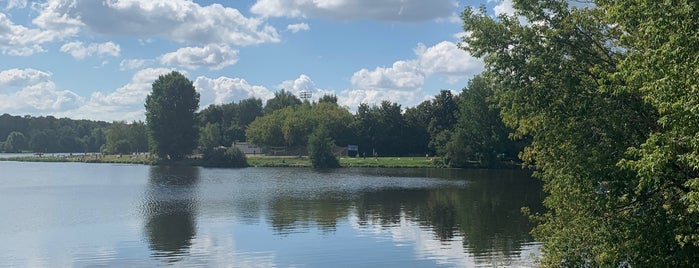 Дендрологический сад им. Р.И. Шредера is one of Парки.