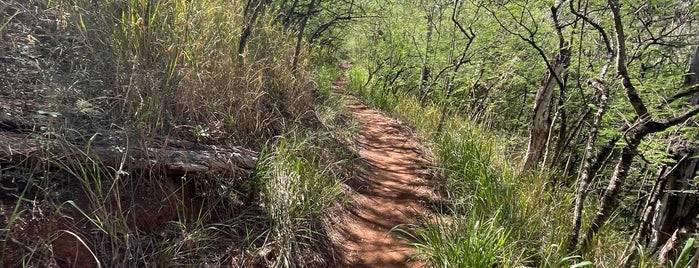 Mahana Ridge Trail is one of Maui.