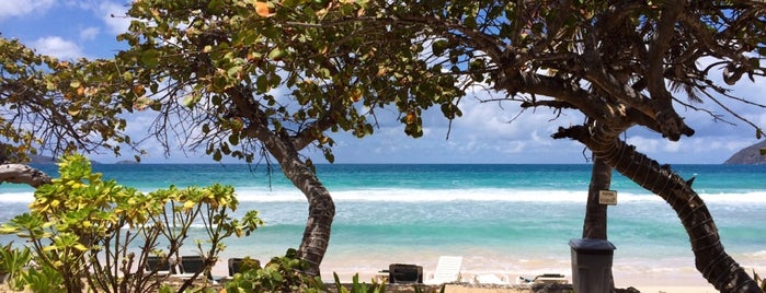 Long Bay Beach Resort is one of สถานที่ที่ Jin ถูกใจ.