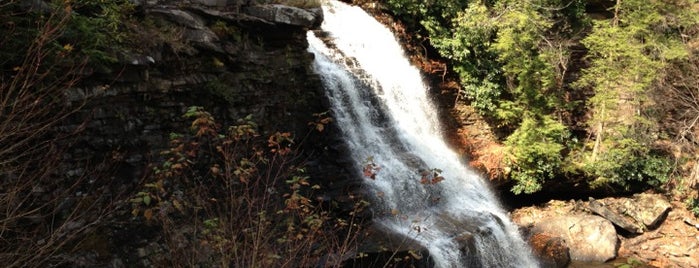 Swallow Falls State Park is one of Outdoor Recreation.