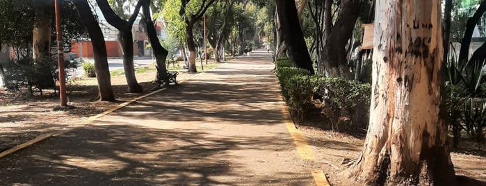 Boulevard Isla de la Concepción is one of Dando El Roll.