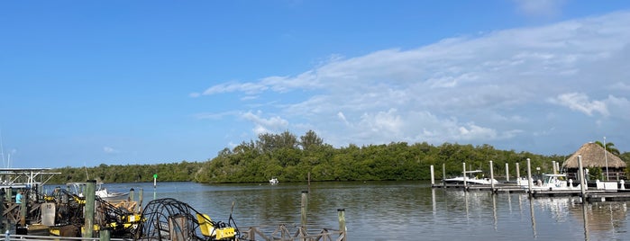 Speedy Johnson Airboat Tours is one of Fun Places.