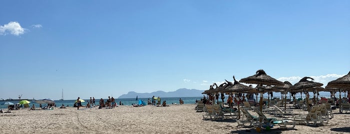 Playa de Alcúdia is one of Lugares favoritos de Umut.
