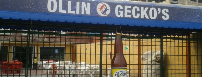 Ollin Gecko's is one of vip.