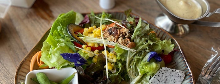 Salad Terrace is one of เชียงใหม่_2_Cafe.