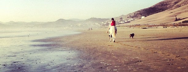 Morro Strand State Beach is one of San Luis Obispo.