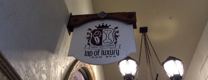 Lap Of Luxury Dog Spa is one of Tempat yang Disukai Stephen.