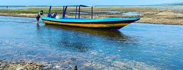 Mangrove Beach is one of Nusa Lembongan.