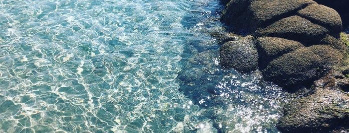 Plage de l'Ariadne is one of 🏖Corsica.