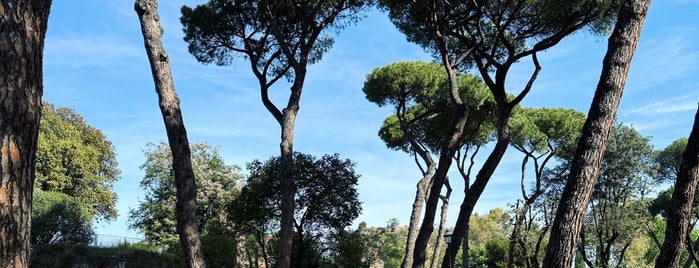 Parco del Colle Oppio is one of Rome19.