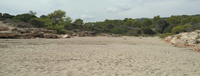 Playa Del Pebret is one of larsomat : понравившиеся места.