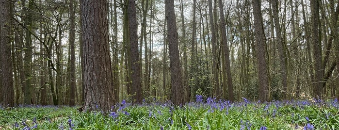 Outwoods is one of Leicester Bucket list.