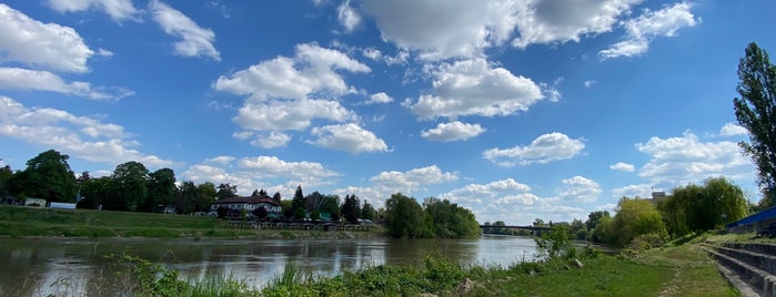 Malul Râului Mureș is one of Places i recommend in Arad.