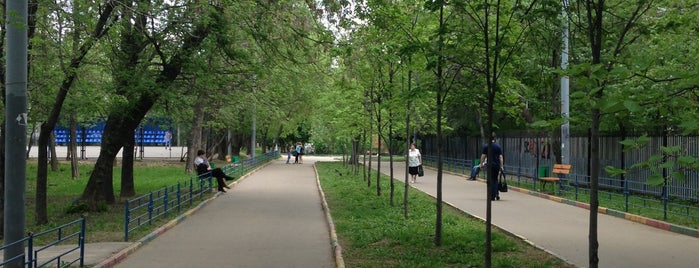 Фестивальный парк is one of Ника : понравившиеся места.