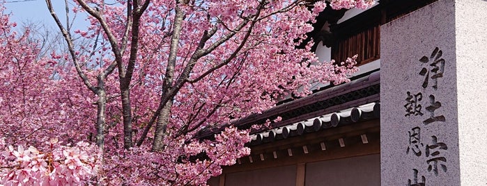 Choutokuji Temple is one of Sakura Trip 2017.