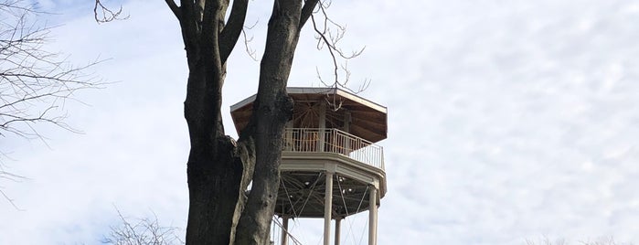 Harlem Fire Watchtower is one of Lugares favoritos de Albert.