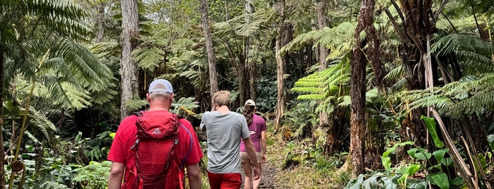 Honuaula Forest Reserve is one of Big island Hawaii.