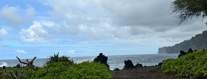 Laupāhoehoe Point County Park is one of ヒロ.