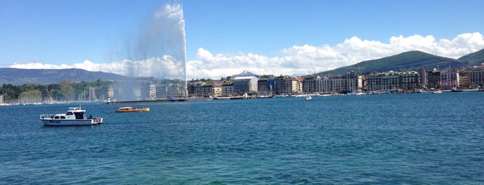 Promenade du Lac is one of My favorite places in Geneva.