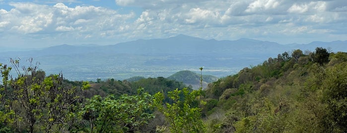 ผาหัวสิงห์ is one of พะเยา แพร่ น่าน อุตรดิตถ์.