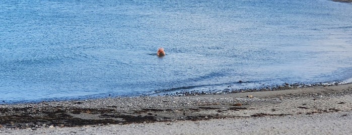 Marienlyst Strand is one of Tempat yang Disukai Murat.