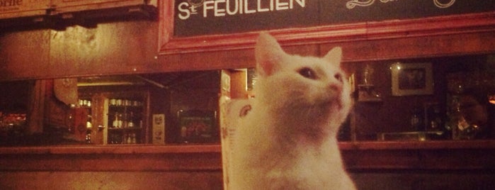 Belgisch Bierproeflokaal De Zotte is one of (Pub)cats in Amsterdam.