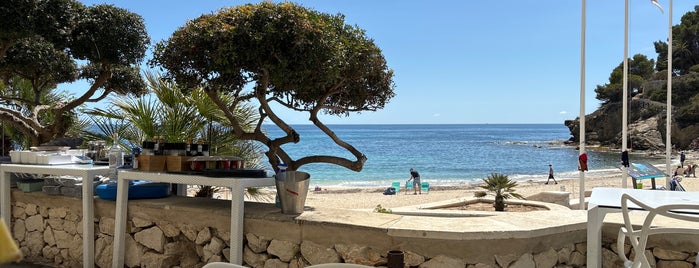 Mandala Beach Bar & Restaurant is one of Costa Blanca.