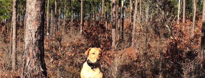 Peachtree Rock Heritage Preserve is one of Favorites around Columbia.