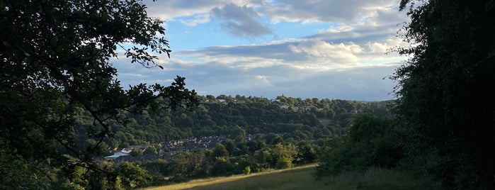 Meanwood Valley Urban Farm is one of Days out from Bradford.