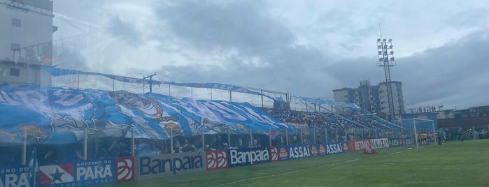 Estádio Leônidas Castro (Curuzu) is one of Lugares que recomendo.