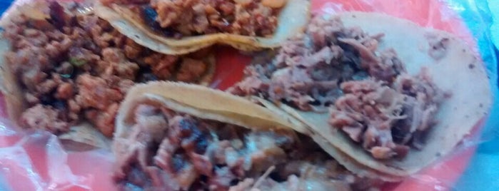 Tacos "El Pelon" is one of สถานที่ที่บันทึกไว้ของ Miguel.
