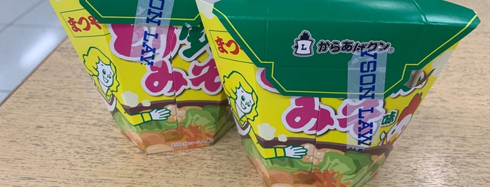 Lawson is one of 知多半島内の各種コンビニエンスストア.
