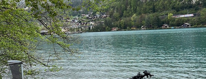 Lake Brienz is one of Locais curtidos por Gokhan.