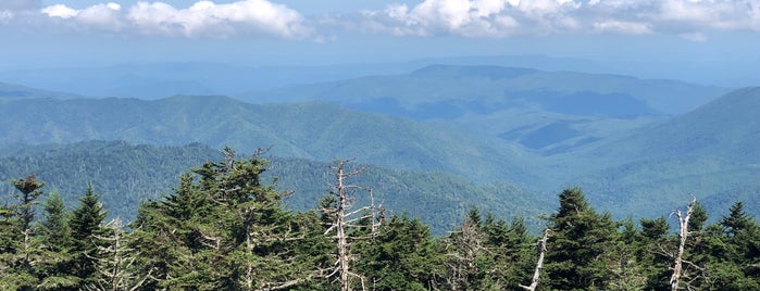 Clingmans Dome is one of Johnさんのお気に入りスポット.