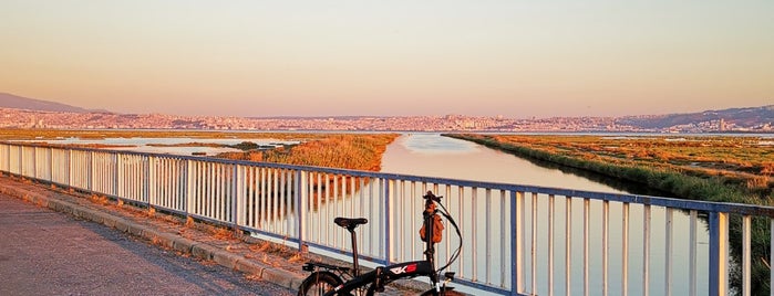 Sasalı Bisiklet Yolu is one of สถานที่ที่ Yusuf ถูกใจ.