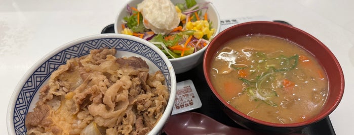 吉野家 is one of Tokyo (Fast) Food (have been there).