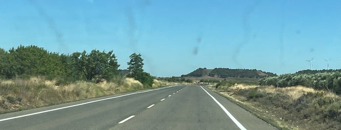 Estación Tudela de Navarra is one of canis.