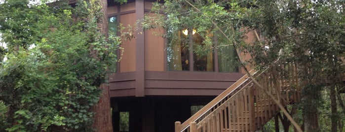 Treehouse Villas at Saratoga Springs Resort is one of WdW Resorts.