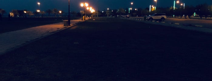 Ushaiger View Park is one of Shaqra ♥️.