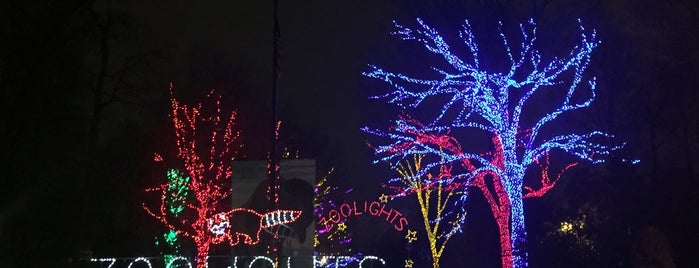 Zoolights is one of All-time favorites in United States.