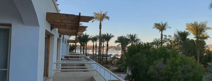Oonas Dive Club is one of Sharm.