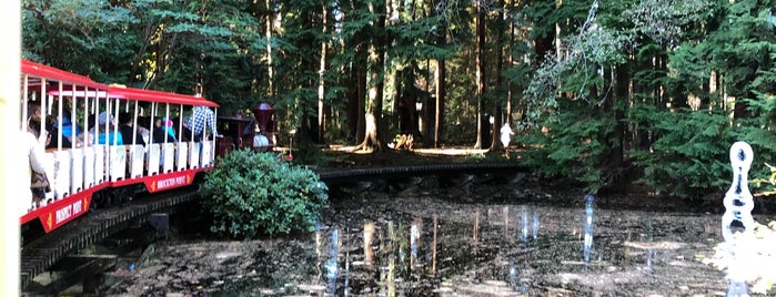 Stanley Park Ghost Train is one of Vancouver things to do.