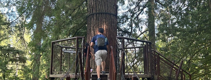 Capilano Treetop Adventure is one of สถานที่ที่ Rebeca ถูกใจ.