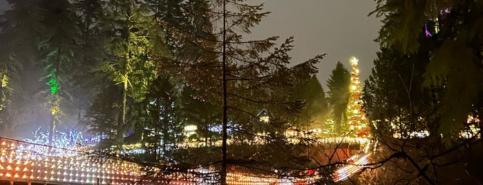 Capilano Cliffwalk is one of 2018.